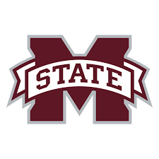 MSU Leader State